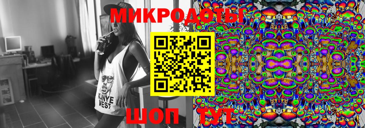 Псилоцибиновые грибы Psilocybine cubensis Кропоткин