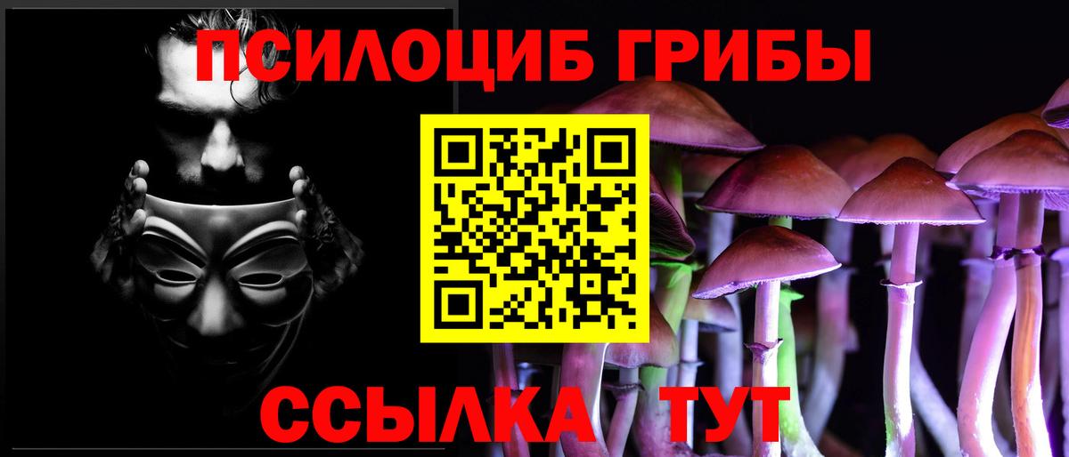 Галлюциногенные грибы Psilocybine cubensis  Галлюциногенные грибы Psilocybe  Вход с VPN  Кропоткин 