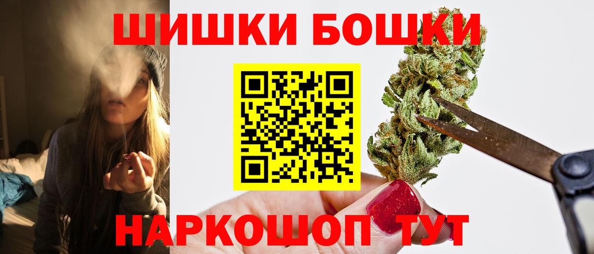 Бошки Шишки план Кропоткин